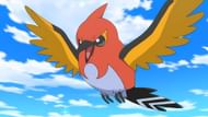 Fletchinder, as seen in the anime. (Image via TPC)